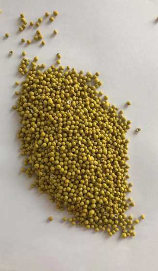 冬季播种的草籽由哪些 草籽什么季节播种