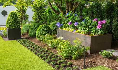 什么草最适合庭院种植 庭院草坪种什么草最好