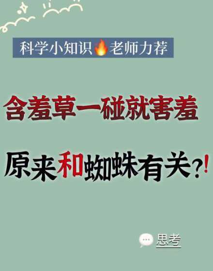 摸含羞草为什么会关上 含羞草为什么一摸就会闭起来