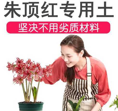 养花为什么要用酸性土 花喜欢酸性土壤还是碱性土壤养花用什么土比较好