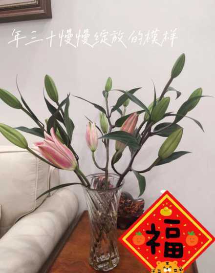 冬天百合怎么样开的快 百合花冬天怎么养