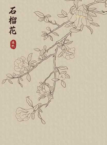 什么花的花语代表富贵 【花语大全】什么花象征财富
