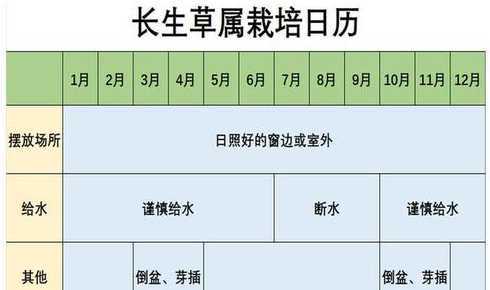 草种什么季节时间种植 暖季节草坪什么时候种植