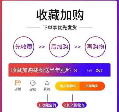 吊兰油画用什么营养液 油画吊兰怎么养(油画吊兰的养护知识)