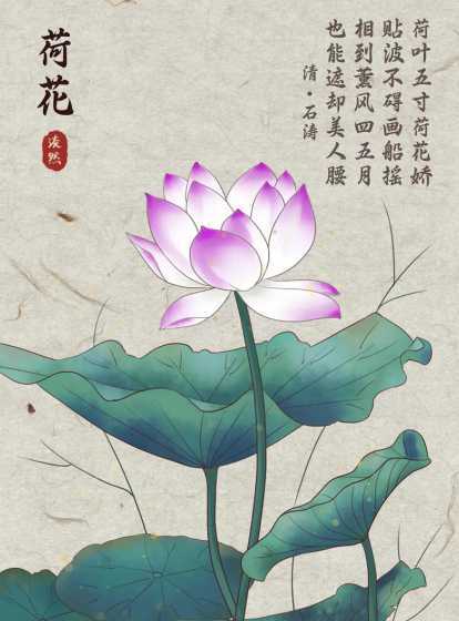荷花在古代有什么寓意 荷花代表什么象征意义