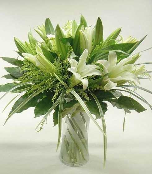 冬季盆栽百合花怎么养 百合花盆栽冬天怎么养