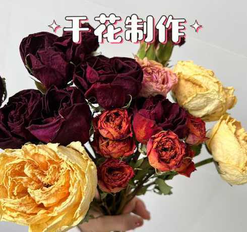 鲜花长途运输怎么保存 鲜花运输过程中怎样保鲜