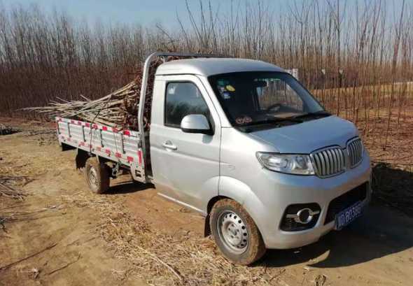 树苗运输需要什么手续 苗木栽植需要注意什么