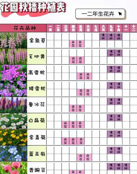 什么时候适合种花草种子 一年四季该种什么花常见花草的播种时间表