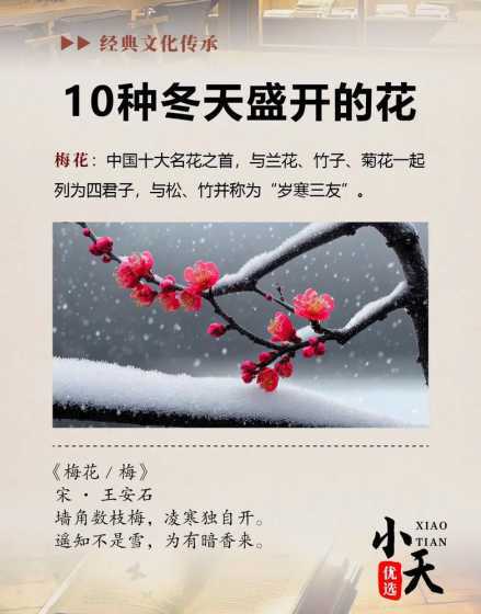冬天的花为什么会开花 腊梅花为什么会在冬天开花