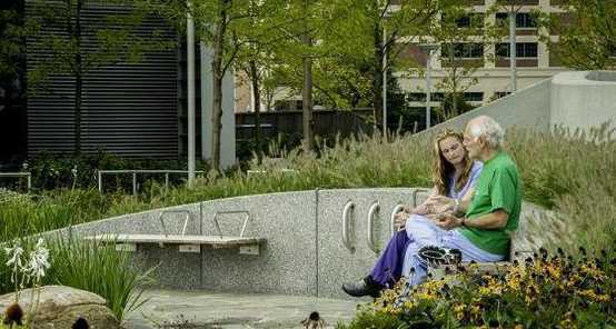 老年公园设计要什么用 学园林的人来设计公园的优势