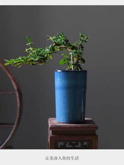 福建小叶茶开什么花 福建的茶苗木有哪些特性