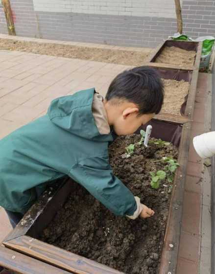 什么种子能把它种出来 什么植物有种子