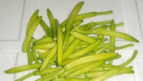 黄花菜冲里花产怎么样 食堂的大锅蔬菜要怎么炒
