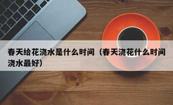 夏天什么时间给花浇水 夏天花什么时候浇水最好。