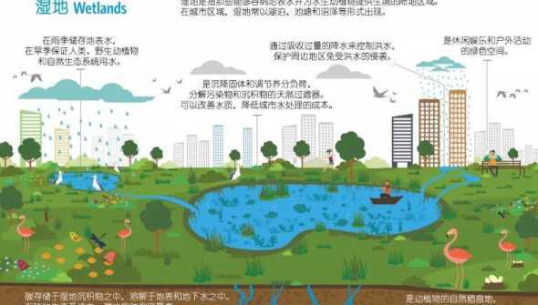 次生湿地的概念是什么 湿地公园对空气环境主要吸收什么污染