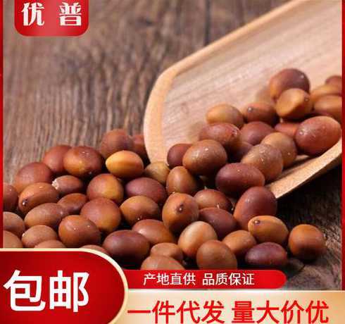 四川哪里有收购皂角子 杨凌有没有收购皂角树的