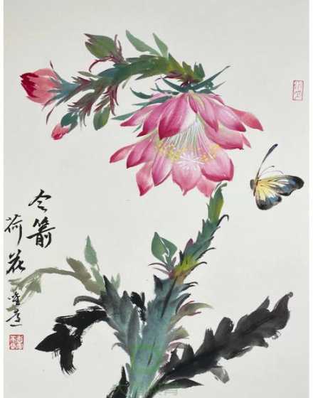 怎么让令箭荷花长的快 令箭荷花扦插生根最快方法