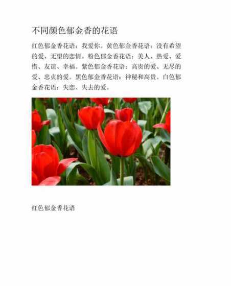 什么花的花语代表完美 寓意顺利的花