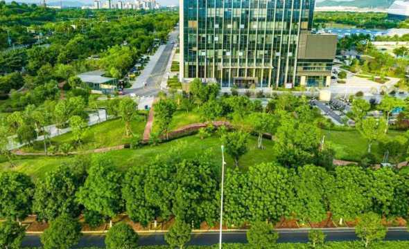 下凹绿地多少钱一平米 下凹式绿地的介绍