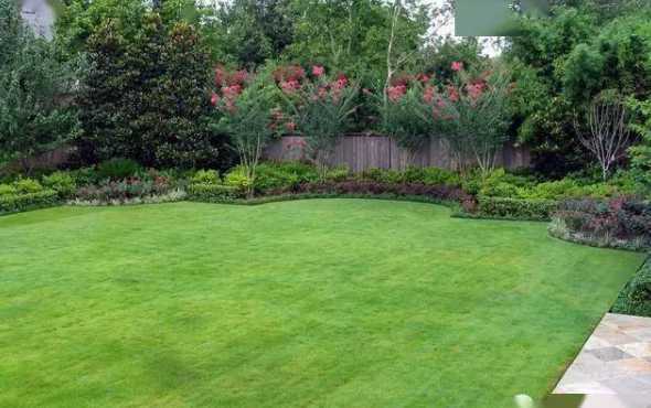 花园草坪种什么品种好 自家小花园种什么品种草坪比较好,少修剪,