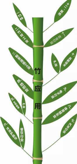 竹子的商业用途有哪些 纸有哪些用途