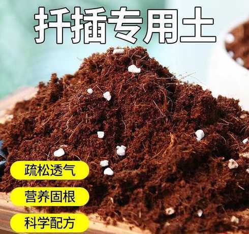 高压繁殖应该用什么土 什么植物可以高压繁殖