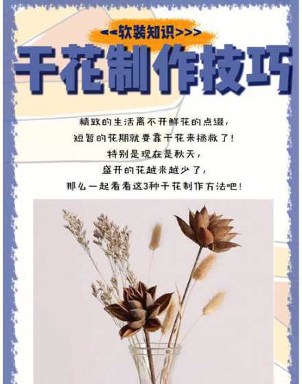 制作干花为什么不能晒 玫瑰花制作干花可以晒吗