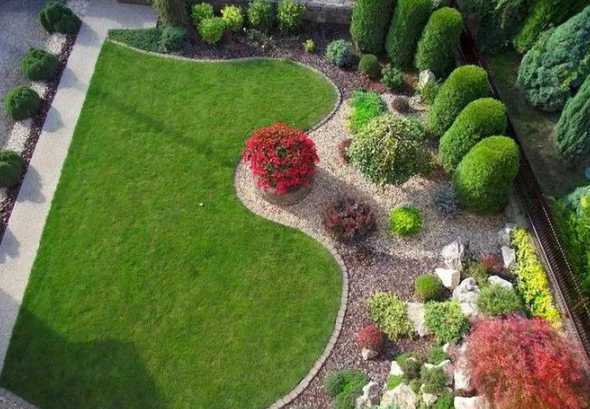 小庭院种植什么草坪好 庭院树下适合种植什么草坪