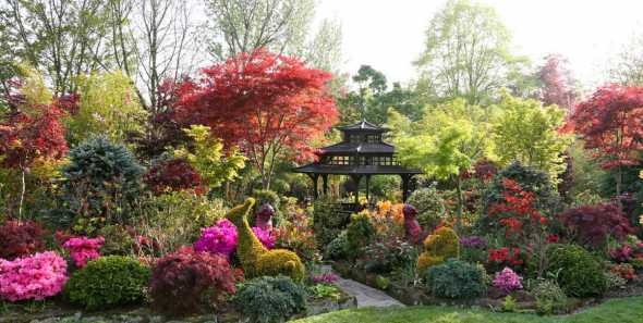 别墅庭院要种什么灌木 别墅花园种什么树好