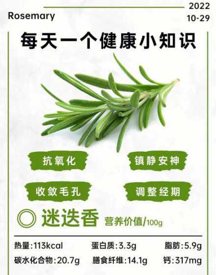 迷迭香怎么避免木质化 迷迭香怎么种