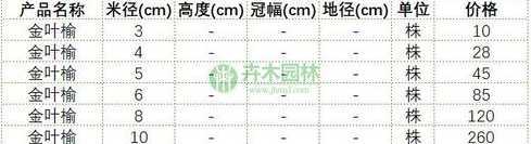 金叶榆和榆树如何区分 如何分辨金钱榆和普通榆树