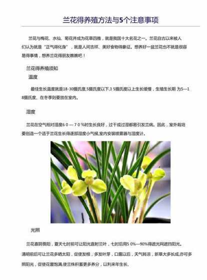 美国兰花怎么养殖技术 兰花的养殖方法