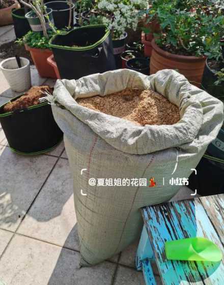 种花的泥土怎么样改良 废旧花泥可以和土融合再种花吗