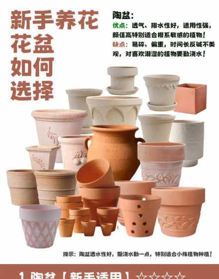 夏天花盆表面怎么保湿 夏天怎么给花盆隔热 方法有哪些