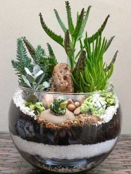 没有花盆用什么种花好 小花盆不种花了,还能做什么