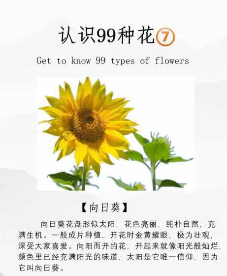 花卉能给人带来什么好处 爱养花会给人带来什么好处