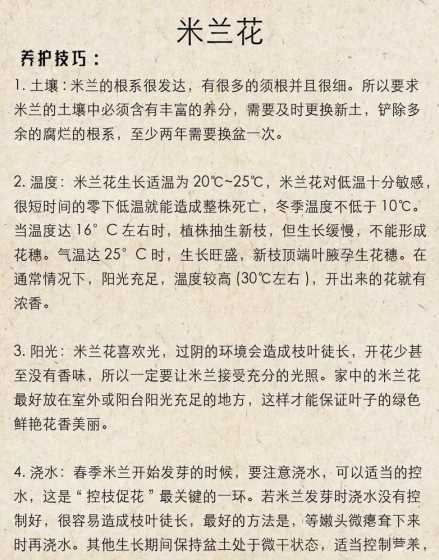 为什么米兰花不见花蕾 我的米兰长满了花蕾,就是不开花,需要施什么肥呢