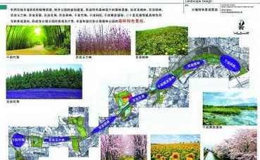 张公堤公园从哪里进去 张公堤的森林公园