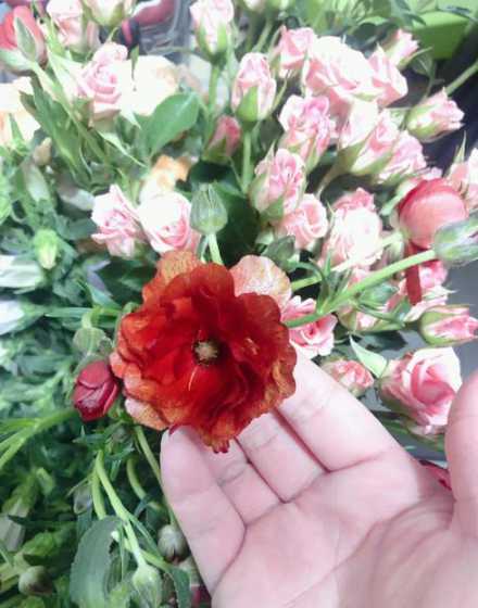 鲜切花不剪根会怎么样 鲜花怎么保鲜