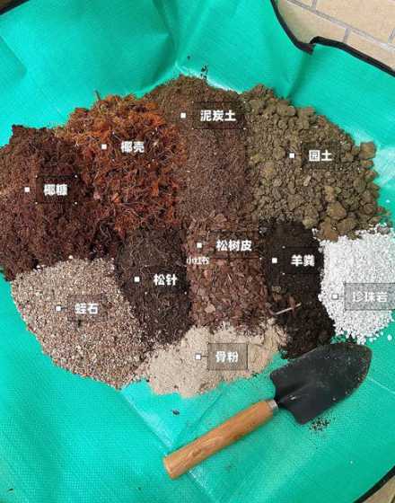 用什么办法配置营养土 自己在家怎么配置植物营养土(营养土配置常用原料有哪些)