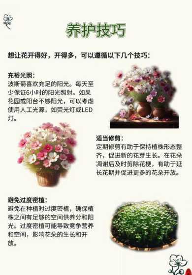 盆里的花适合什么温度 适合26度左右盆栽有哪些 26度室温适合养什么花