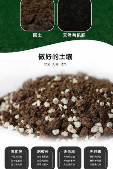 种植苗木营养土是什么 营养土种花死苗的原因