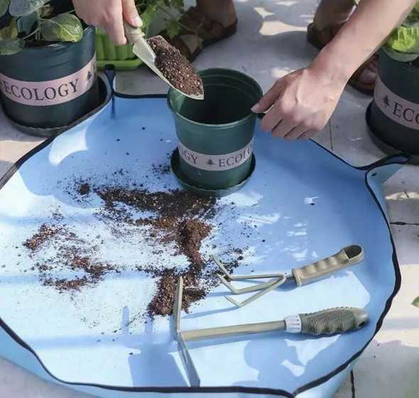 花草换土后应该如何处理 梦见给花草换土