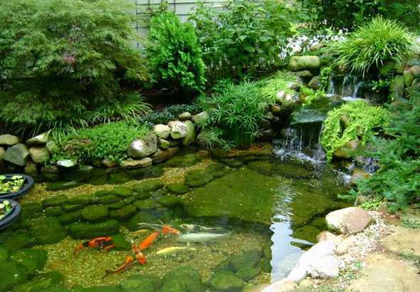 如何修建花园生态鱼池 别墅前后花园养鱼风水有什么说法