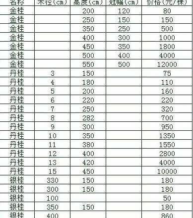 小桂花树价格大概多少 6公分桂花树多少钱一棵