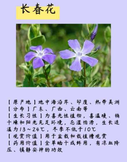 花怎么开属于什么知识 花开花落自有时的哲学知识