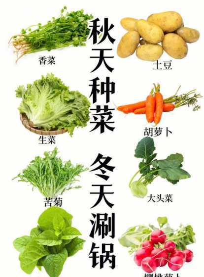 10度可以种什么蔬菜 十几度适合种什么蔬菜