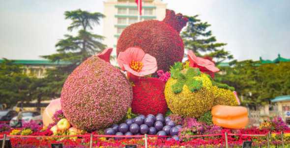 立体绿化造型用什么花 绿化墙用什么植物好(户外仿真植物墙推荐)