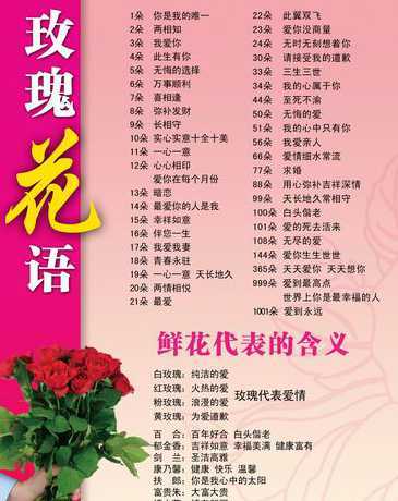 花语9支玫瑰代表什么 9朵玫瑰的花语是什么